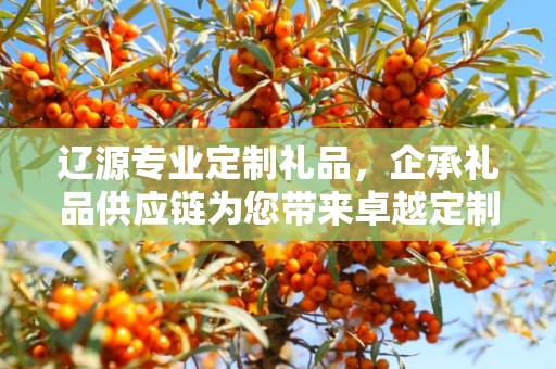 辽源专业定制礼品，企承礼品供应链为您带来卓越定制体验